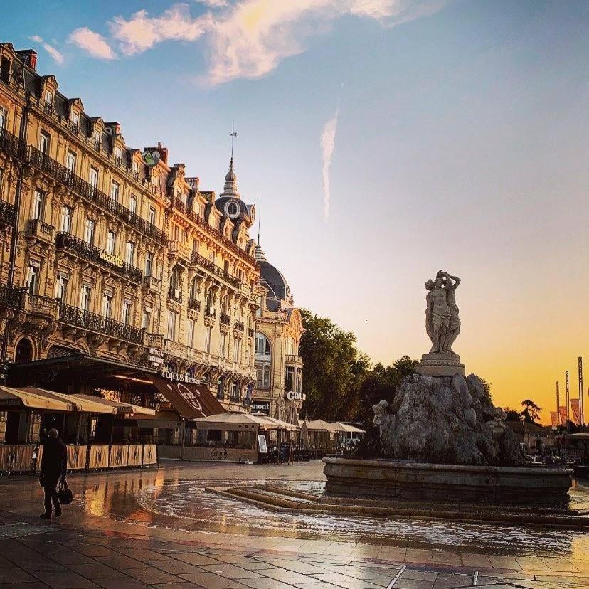 Le Cocon Montpellierain By Smartappart Montpellierain - Jardin Proche Corum Dış mekan fotoğraf